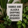 plant/Hawaii and Alaska Shipping upgrade REQUIRED to ship to AK and HI USPS ONLY-0-thumbnail