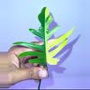 plant/Philodendron Flobe (Florida Beauty) x Tortum-2-thumbnail