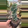 plant/Cactus Forbesii Spiralis 5”-0-thumbnail