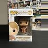 plant/Funko Pop! Vinyl: Harry Potter - Gilderoy Lockhart #59 (Vaulted)-4-thumbnail