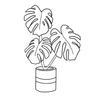 plant/review❣️-0-thumbnail