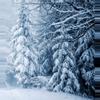heat_pack/*WINTER SHIPPING*-0-thumbnail