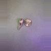 plant/Variegated Dragon Scale CORM-0-thumbnail