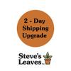 shipping_upgrade/FedEx - 2 Day Shipping upgrade-0-thumbnail