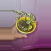 plant/Pothos N' Joy-0-thumbnail