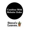 free_shipping/Combine With Website Order-0-thumbnail