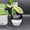plant/Handmade Resin Propagation Station-3-thumbnail