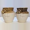 plant/2.5 inches succulent pots ( Set of 6)-3-thumbnail