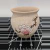 plant/3.5 inches Succulent Pots ( Set of 6)-0-thumbnail