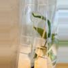 plant/Plant Packaging Container Tube (20)-2-thumbnail