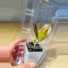 plant/Plant Packaging Containers Small(20)-1-thumbnail