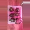 plant/Alocasia Morocco 'Pink Dragon' Seedlings-1-thumbnail