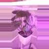 plant/Alocasia Serendipity-0-thumbnail