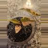 plant/Fallopia multiflora variegated rooted cutting-0-thumbnail