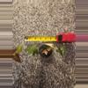 plant/Fallopia multiflora variegated rooted cutting-3-thumbnail