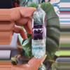 plant/Fluorite Tower-2-thumbnail