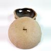 plant/Metallic Nutmeg Jewelry Dish-1-thumbnail