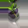 plant/Pothos Shangri-la Cutting-3-thumbnail