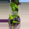 plant/Pothos Shangri-la Cutting-2-thumbnail
