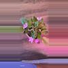 plant/African Violet-2-thumbnail