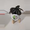 plant/4 Inch Planter With Bamboo Stand-3-thumbnail