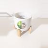 plant/4 Inch Planter With Bamboo Stand-0-thumbnail