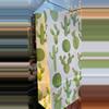 plant/20pc Rhipsalis Cutting Bag-1-thumbnail