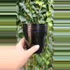 plant/4" Nursery Pot (5 count)-3-thumbnail