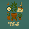 plant/Hold for a week!-0-thumbnail