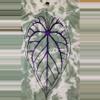 plant/Long Boi - Bleached T-Shirt -0-thumbnail