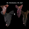 plant/Anthurium Mr.Worldwide x RL self papillilaminum wide sinus germinated seed-0-thumbnail