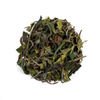 plant/WAH PEONY - Oolong Tea-0-thumbnail