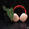 plant/Anthurium Ree Gardens portilloi x carlablackiae *Grower's choice*-0-thumbnail