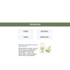 plant/Green Lacewing Adults - Generalist-0-thumbnail