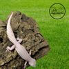 plant/Male Mack Super Snow Albino Leucistic Leopard Gecko | 17g | Calm & Feeding Great-3-thumbnail