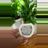 plant/Plant Meeting C 3” Sticker-0-thumbnail