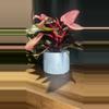 plant/Blue Fern Pot🌿-1-thumbnail