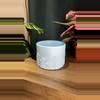 plant/Blue Fern Pot🌿-2-thumbnail