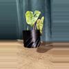 plant/Modern 3D Planter: A Stylish Touch for Your Space 🌱✨-2-thumbnail