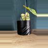 plant/Modern 3D Planter: A Stylish Touch for Your Space 🌱✨-1-thumbnail