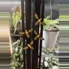 plant/Bee Magnet (1)-1-thumbnail