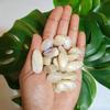 plant/Peach Moonstone Tumbles-0-thumbnail