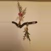 plant/Small wildflower driftwood wall hanger.-2-thumbnail