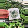 plant/Medium TGE Sticker-0-thumbnail