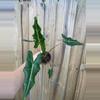 plant/Alocasia Sarian 4” pot growers choice-0-thumbnail