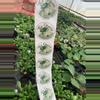 plant/Medium TGE Sticker-1-thumbnail