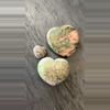 plant/Unakite Heart Trio 💚💚💚-1-thumbnail