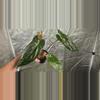 plant/Anthurium (FTG Crystal x Papi) x pinkleyi-0-thumbnail