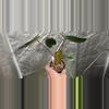 plant/Anthurium (FTG Crystal x Papi) x pinkleyi-2-thumbnail