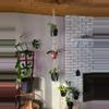 plant/3 Tier hanger-0-thumbnail